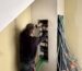 Antoine de la société QR ENERGIES, électricien qualifié et expert en pose de tableaux électriques, en train de passer les câbles et les gaines électriques dans le nouveau tableau électrique installé dans une maison en rénovation à Montélimar. On voit de nombreuses gaines en attente, des gaines télécom, des gaines d'électricité et des murs en placo brut.